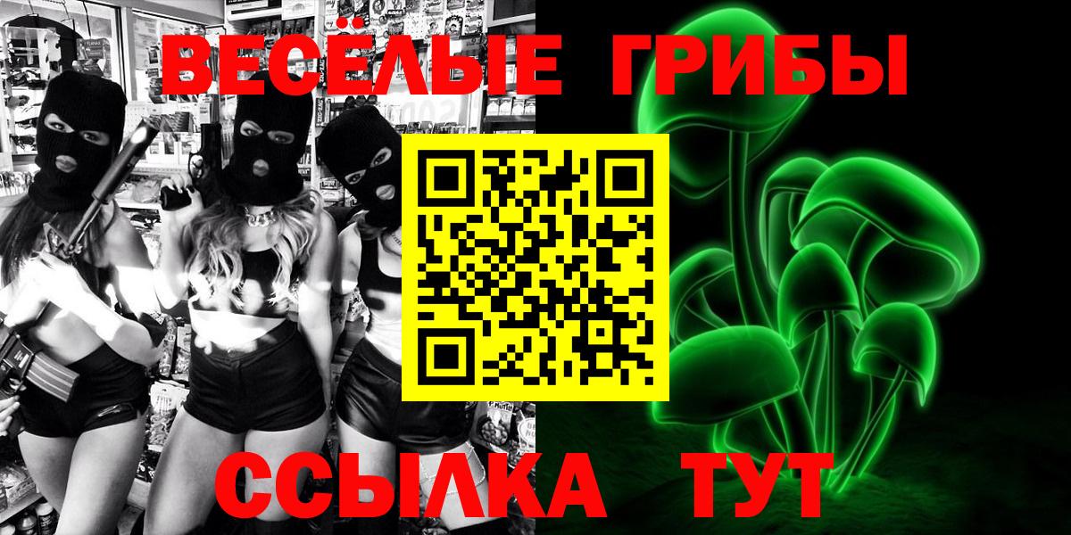 Элиста  купить  цена  Вход с VPN  Псилоцибиновые грибы прущие грибы 