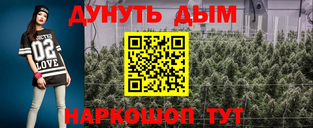 Бошки Шишки семена Элиста